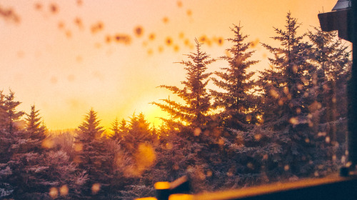 Volver a nosotros mismos