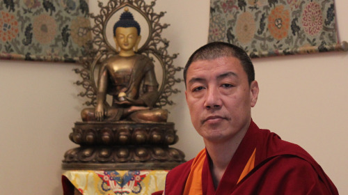 ¿por qué meditamos?