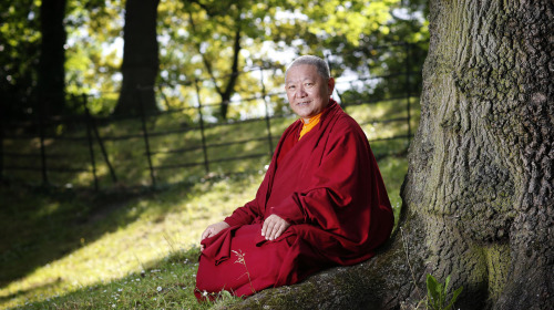 DESCUBRIENDO EL BUDISMO – Las Cuatro Nobles Verdades, Parte 1 -3