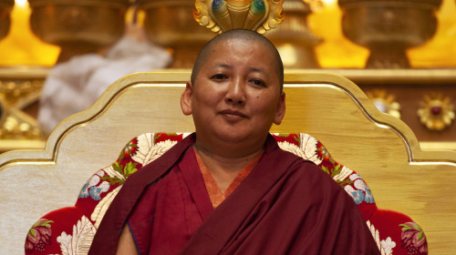 Tomar refugio: La base del camino del Buda al despertar, primera parte