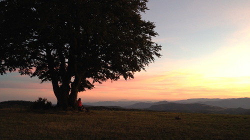 Un día de invierno en Lerab Ling