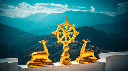 No seas paciente con el samsara