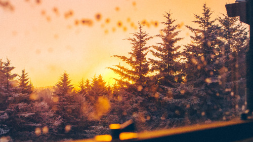 La felicidad está en nuestro interior