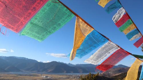 No hay Dharma más allá de nuestra propia mente