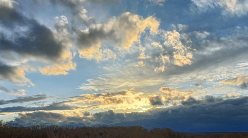 Los Cuatro Sellos encapsulan la visión básica budista