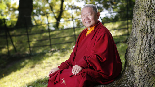 Dependemos de la tierra para sobrevivir.