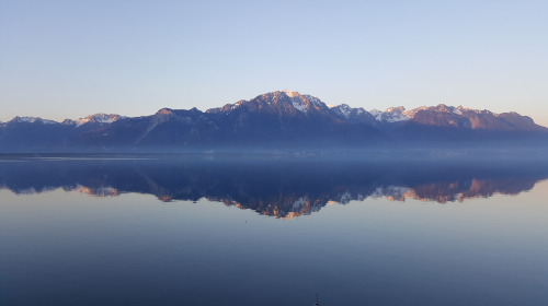 Descubrir quiénes somos realmente