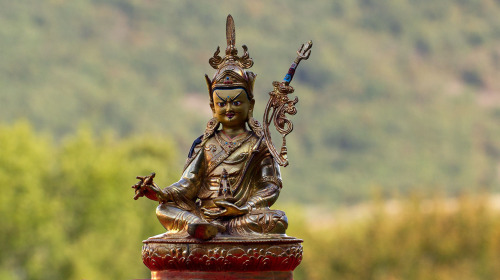 Proxima fase del CTA—actualización