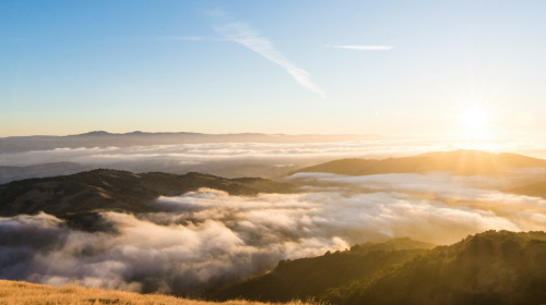 Entender la mente para entendernos a nosotros mismos
