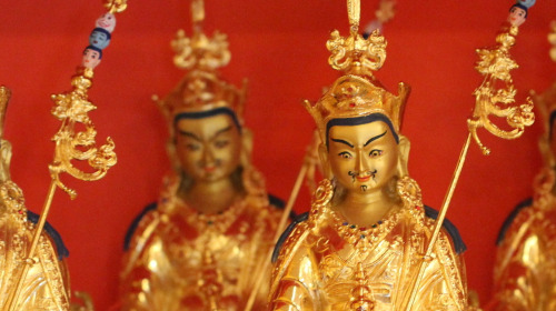 Noticias del Consejo de la Visión de Rigpa